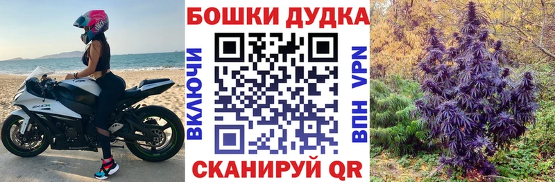 Бошки Шишки Шимановск