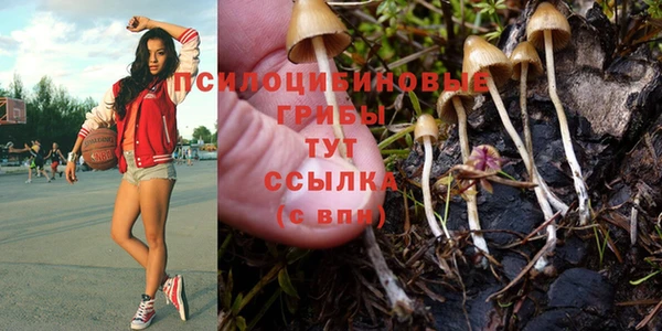 прущая мука Киренск