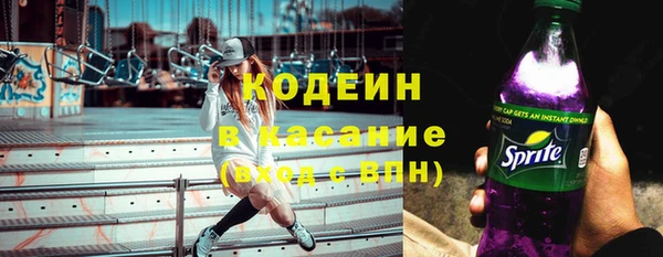 мдпв Киреевск