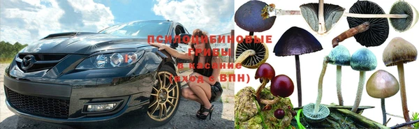 стаф Кинешма